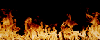 20020715124619.gif